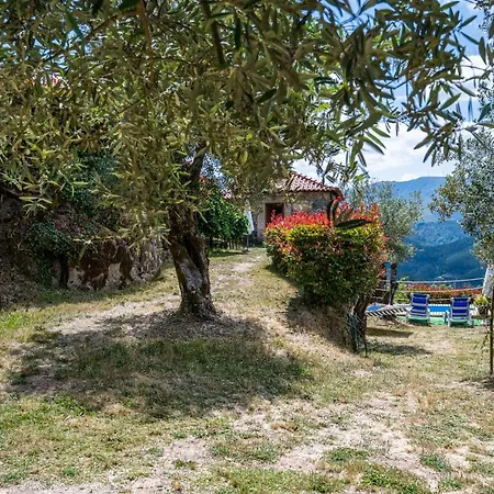 Quinta Da Baldieira Mondim de Basto Exterior photo