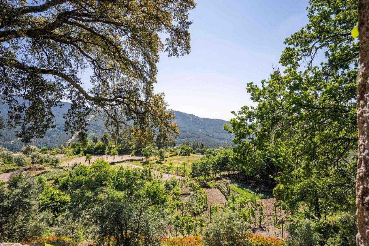 Quinta Da Baldieira Holiday home Mondim de Basto
