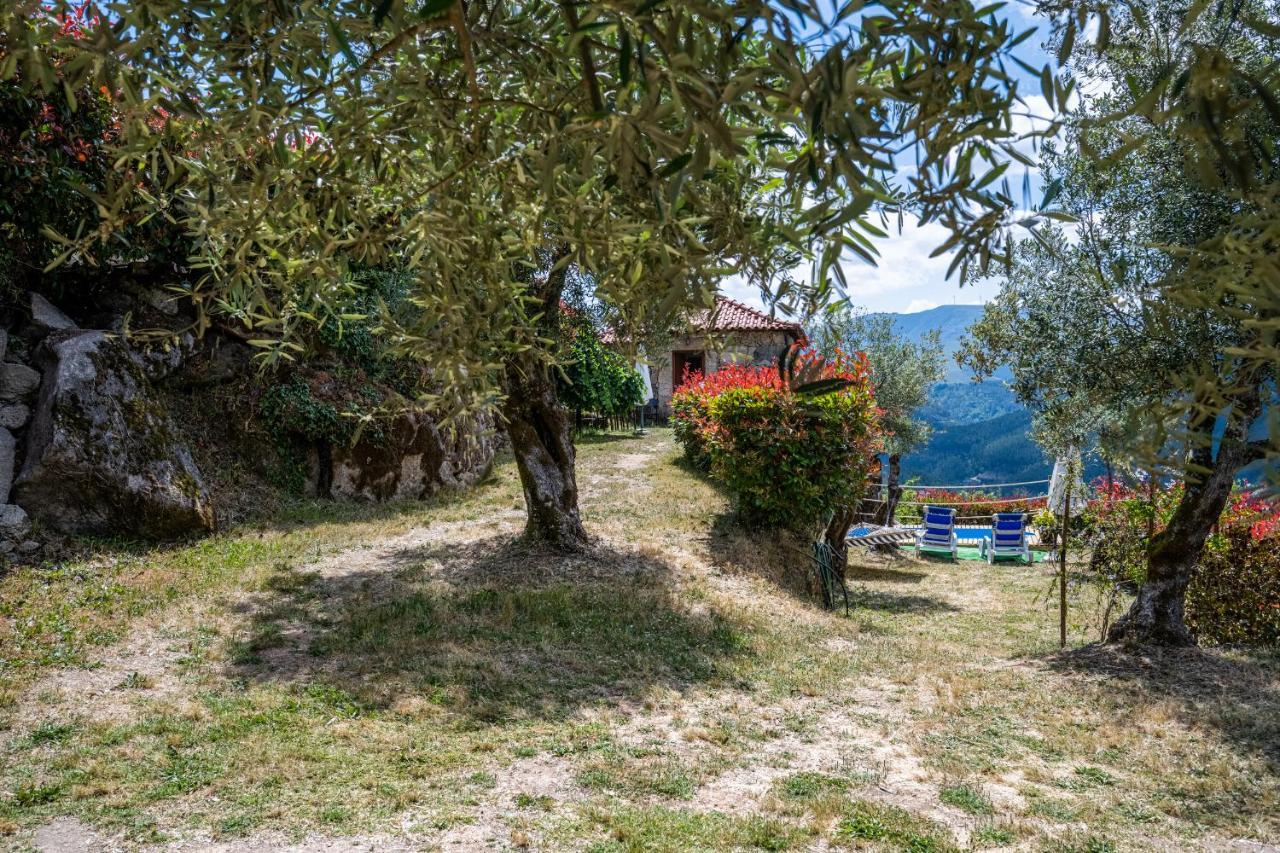 Quinta Da Baldieira Holiday home Mondim de Basto