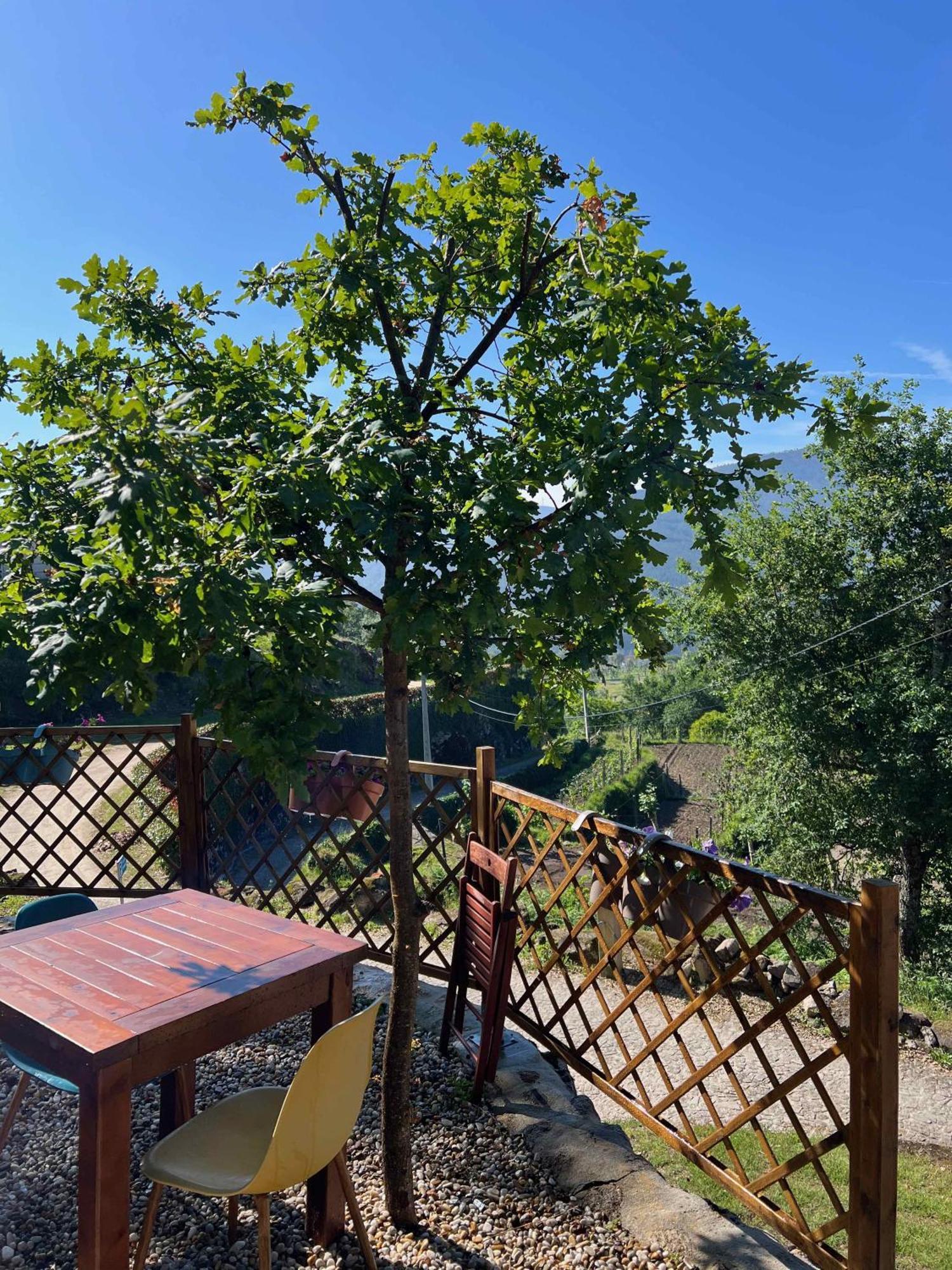 Quinta Da Baldieira Holiday home Mondim de Basto