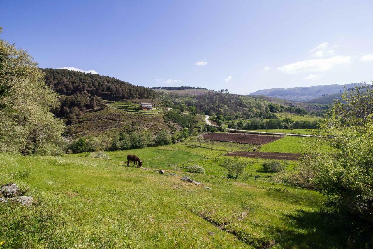 Quinta Da Baldieira